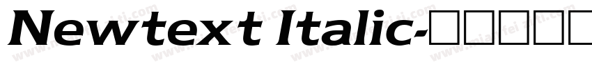 Newtext Italic字体转换